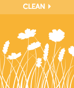 Home Cleaning Products