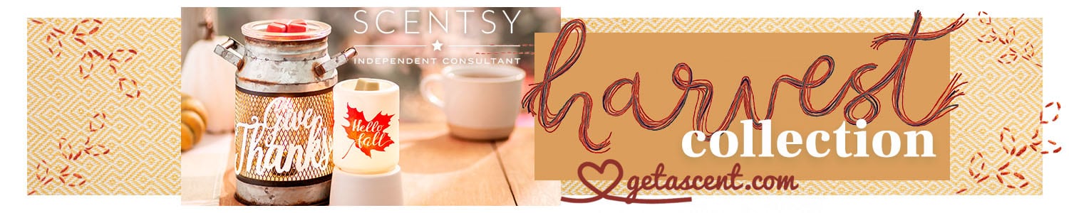 Shop the Scentsy harvest collection at getascent.com!