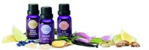 scentsy oils