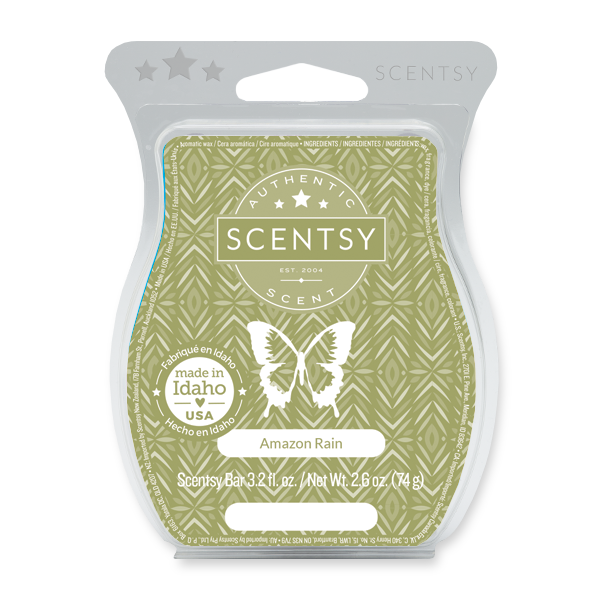 Rain Scentsy Wax Bar