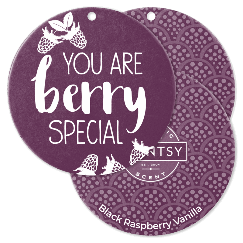 Black Raspberry Vanilla Scent Circle 3-Pack