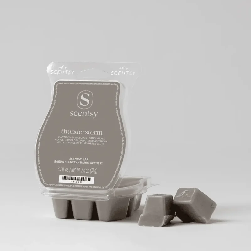 Thunderstorm Scentsy Wax Bar