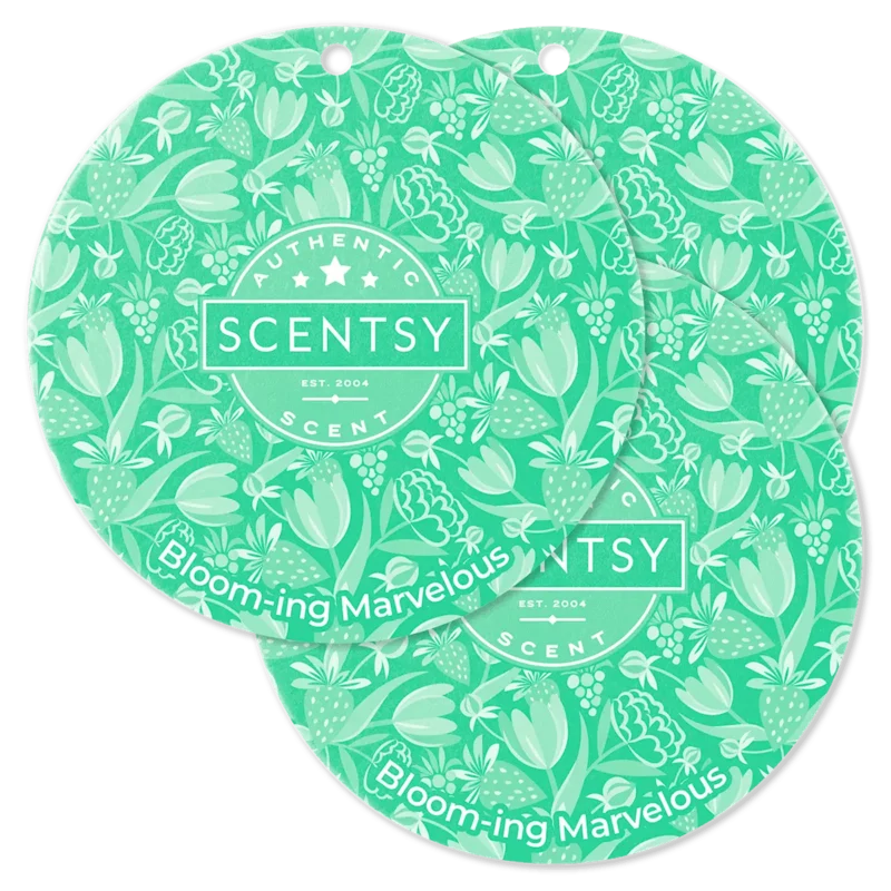 Bonfire Beach Scent Circle 3-Pack