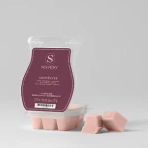 Snowberry Scentsy Bar