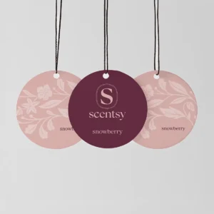 Snowberry Scent Circle 3-Pack