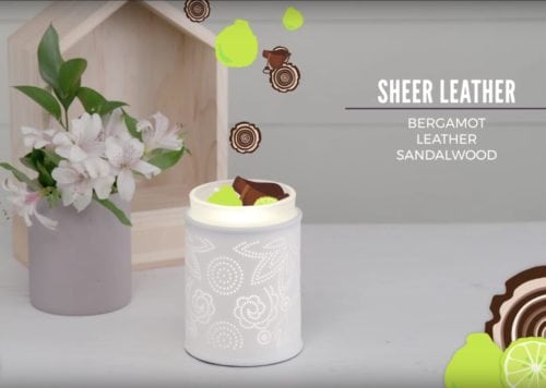 New Scentsy products - Sheer Leather fragrance! I can just smell it now