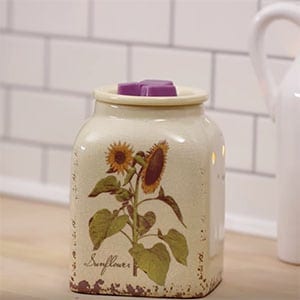 Check out Scentsy's new Fall and Winter products now at getascent.com!