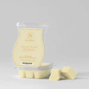 Squeeze the Day Scentsy Wax Bar