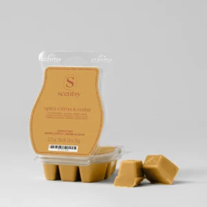 Spicy Citrus & Cedar Scentsy Bar