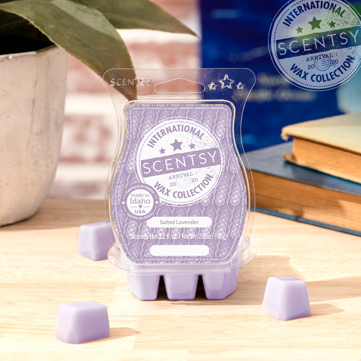 Scentsy's International Wax Collection is here! Scentsy Online Store