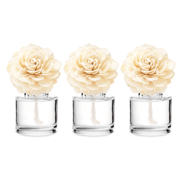 3 Fragrance Flowers Scentsy Online Store