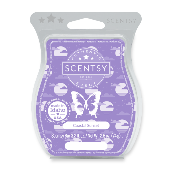 Rain Scentsy Wax Bar