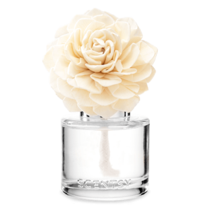 Iridescent Pearl Fragrance Flower - Dahlia Darling