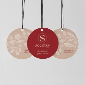 Cinnamon Pinecones Scent Circle 3-Pack