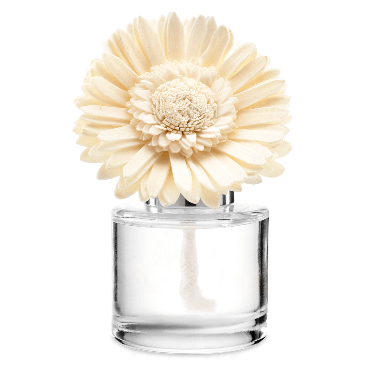 Luna Fragrance Flower - Dainty Daisy