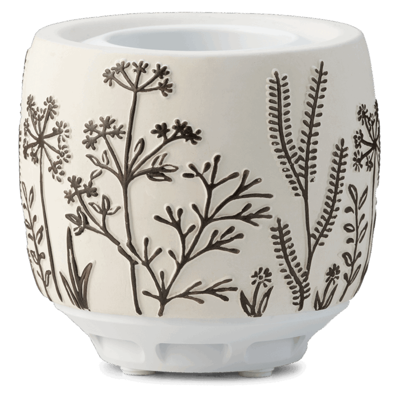 Dandelion Daze Scentsy Air