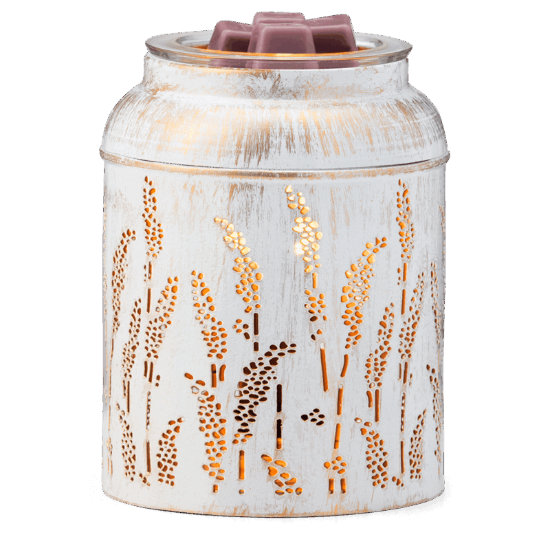 Golden Grain Warmer
