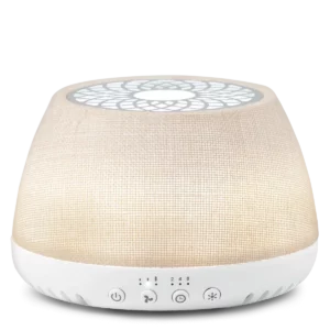 Scentsy Air Quad