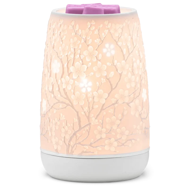 Sakura Warmer (April 2025)