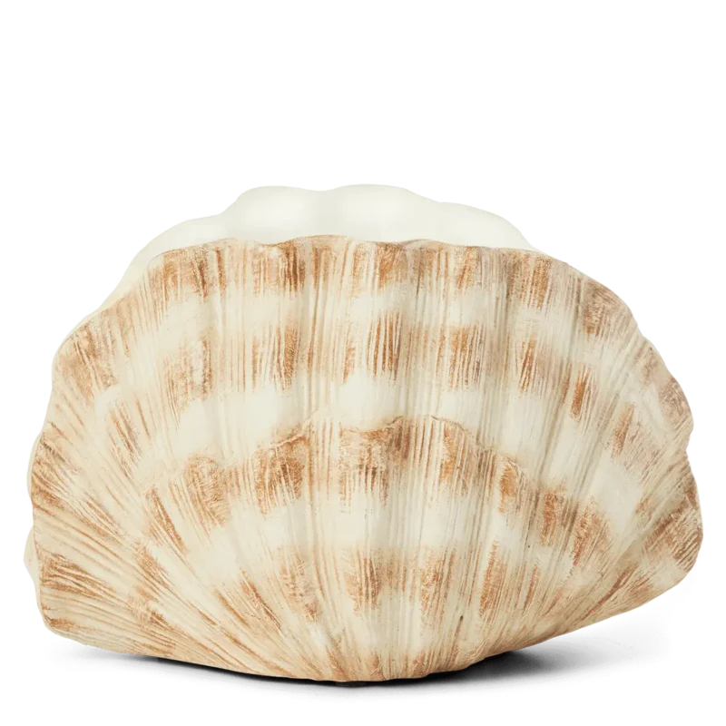 Seashell Warmer