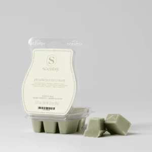 Pearlescent Coast Scentsy Wax Bar
