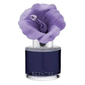 Happiness Blooms Collection