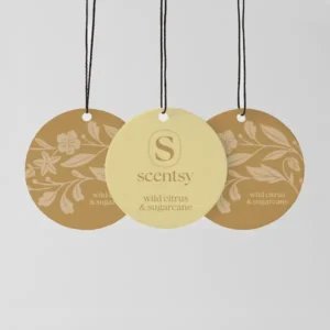 Wild Citrus & Sugarcane Scent Circle 3-Pack