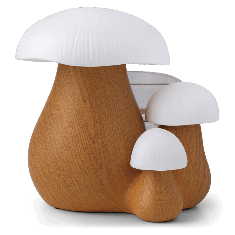Forest Forage Warmer (July 2025)