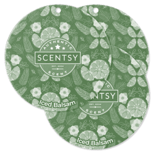 Iced Balsam Scent Circle 3-Pack (December 2025)