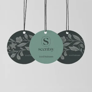 Iced Balsam Scent Circle 3-Pack