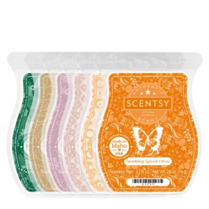 New Year, New Horizons 6-Scentsy Wax Bar Bundle