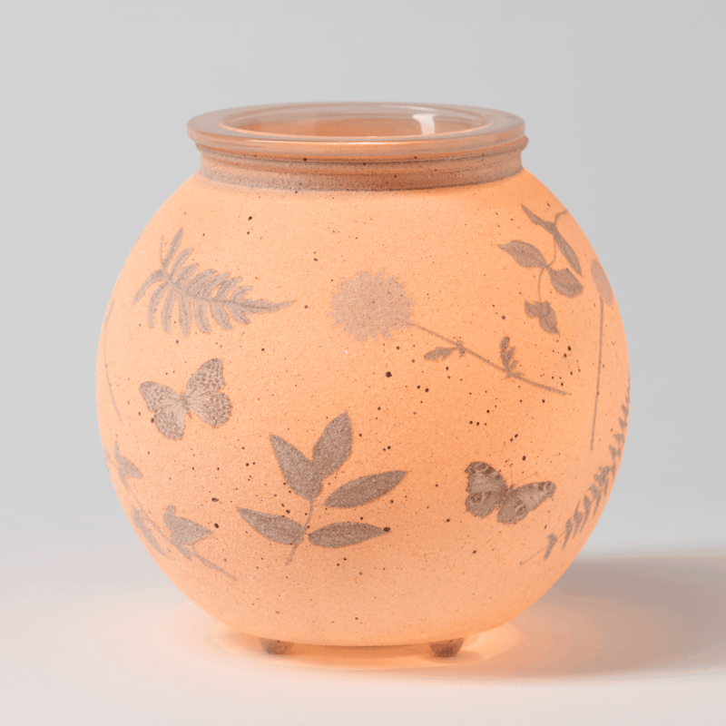 Veiled Meadow Warmer (February 2026)