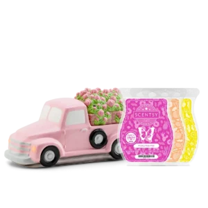 Retro Pink Truck Bundle