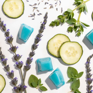 The Monthly Edit (Past)