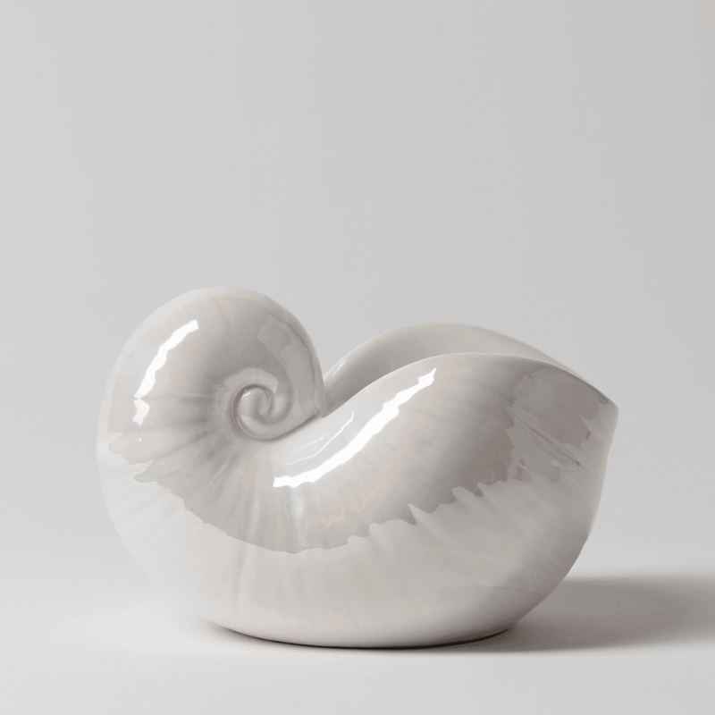 Nautilus Warmer