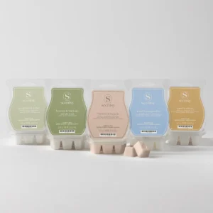 Coastal Scentsy Wax Bar 5-Pack