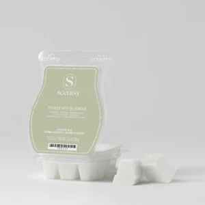 Seagrass & Sand Scentsy Wax Bar