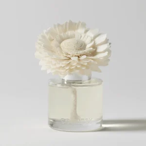 Apples & Cinnamon Sticks Fragrance Flower - Dainty Daisy