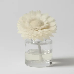 Sorrento Breeze Fragrance Flower - Dainty Daisy