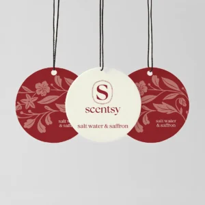 Salt Water & Saffron Scent Circle 3-Pack