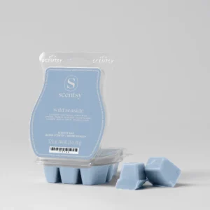 Wild Seaside Scentsy Wax Bar