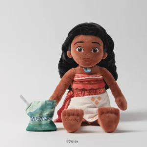 Disney Moana Buddy