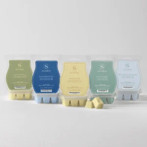 Cozy Cabin Scentsy Bar 5-Pack