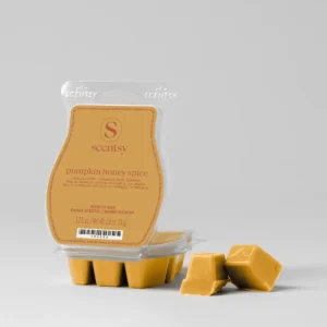 Pumpkin Honey Spice Scentsy Bar