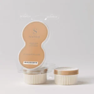 Pumpkin Oak Scentsy Pod Twin Pack