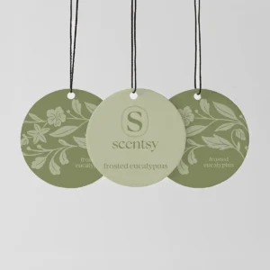 Frosted Eucalyptus Scent Circle 3-Pack