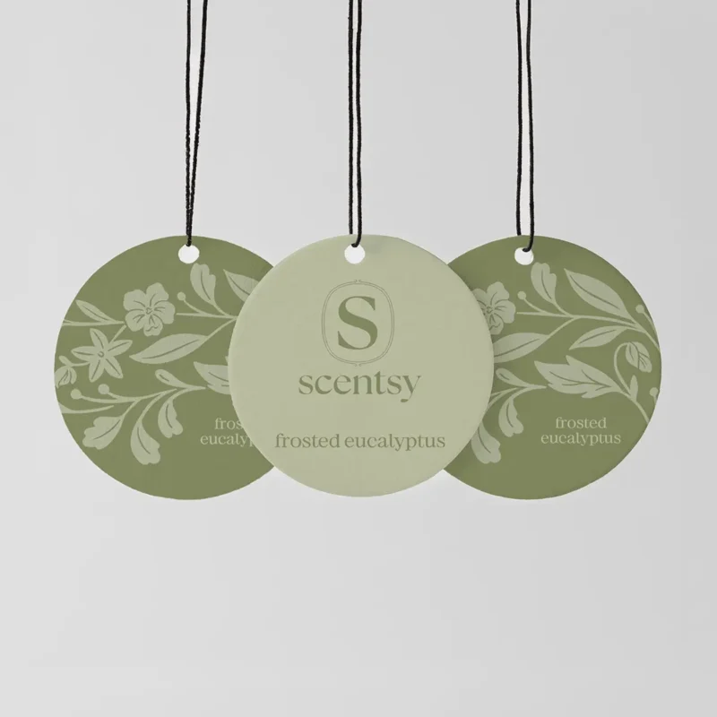 Frosted Eucalyptus Scent Circle 3-Pack