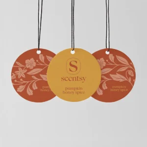 Pumpkin Honey Spice Scent Circle 3-Pack