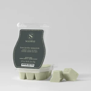 Lost In The Amazon Scentsy Bar